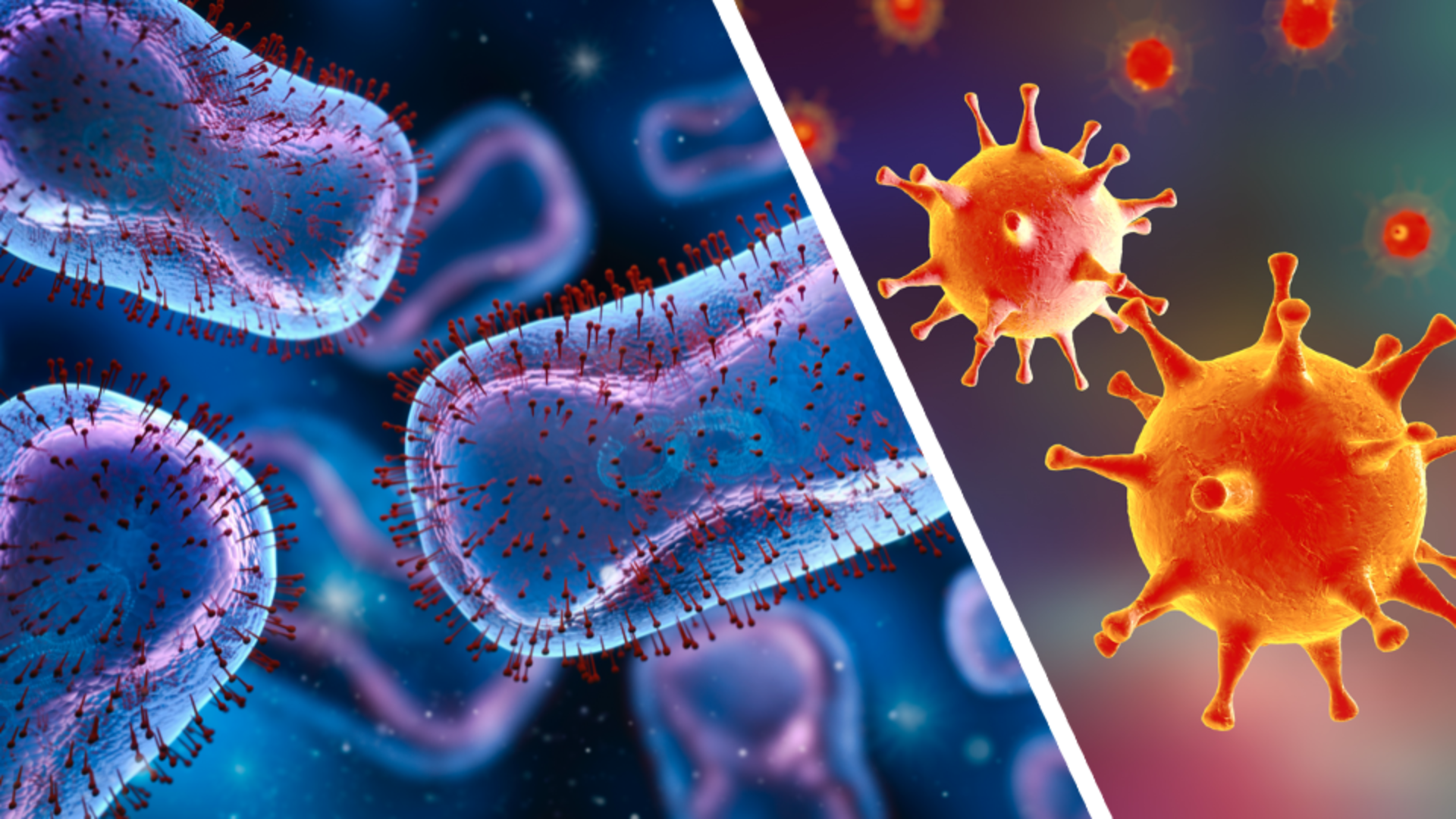 Cover Image for Distinguishing Monkeypox (Mpox) and Herpes Simplex Virus (HSV): A Comparative Analysis