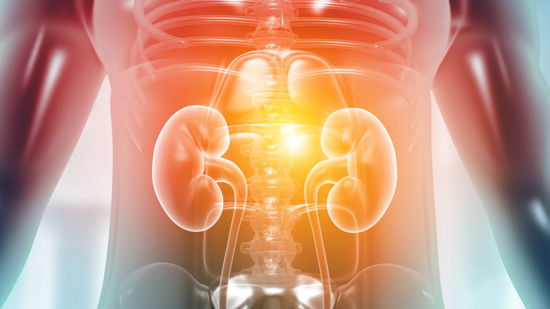 Cover Image for 10 Reasons Why Monitoring Your Kidney Health is Crucial for a Healthy Life